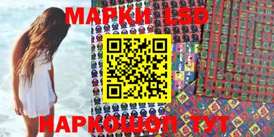 дмт Новозыбков