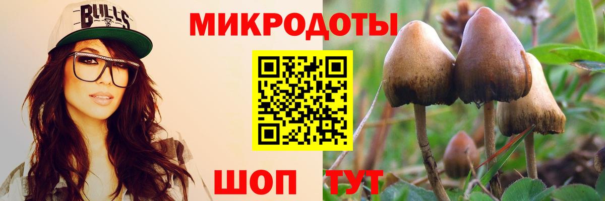 Галлюциногенные грибы мицелий  Вход с VPN  Сертолово  Галлюциногенные грибы мицелий 